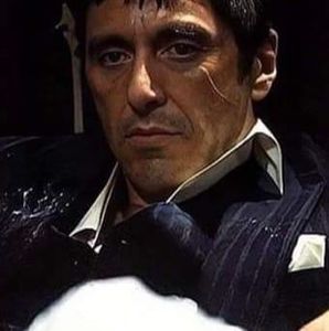 Meet your Posher, Sasha